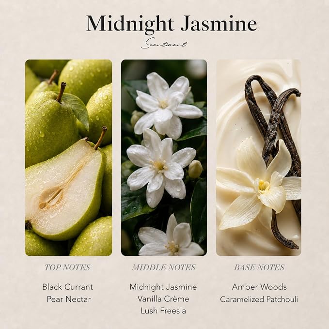 Scentiment Midnight Jasmine Diffuser Oil - Premium Hotel Scent with Notes of Jasmine, Vanilla Crème & Pear Nectar Home Scent, Hotel Fragrance Oil Diffuser Refill - 0.68 fl oz (20 mL)