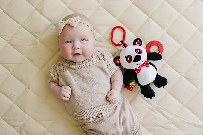 Panda Plush with High Contrast Colors, Cute Stuffed Animal Toys for Baby, Panda Toy, Teether with Clip, Multiple Textures, Taggies, Squeaky Body, Crinkle Fabric, Baby Gift, Teething Toy, 8" Tall
