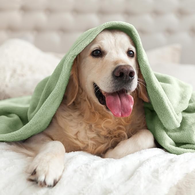 BEDELITE Fleece Blanket Soft Plush Throw for Couch Sage Green 50"x60" | Ultra Soft Fleece, Plush Microfiber, Lightweight Warmth, All Season Comfort, Fade Resistant, Machine Washable, Couch Sofa Bed