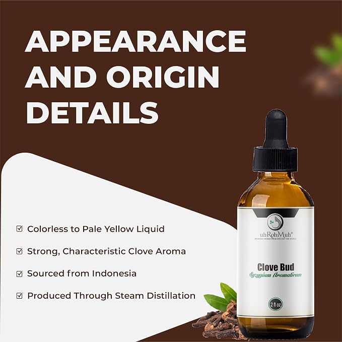 Clove Bud Essential Oil - Steam Distilled 100% Pure Eugenia Caryophyllus Clove Oil for Diffuser, Aromatherapy, Massage, DIY Skincare Hair Care, Warm Spicy Fragrance Natural - Indonesia - 2 FL Oz