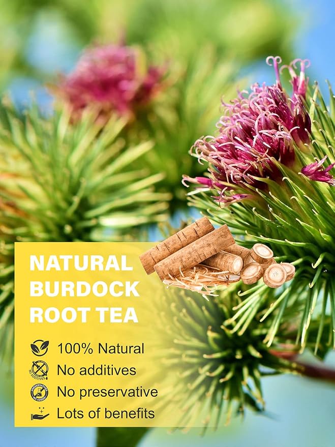 TeeLux Burdock Root Tea, Cut & Sifted, Pure Natural Dried Burdock Root Loose Leaf Tea, Caffeine Free, Premium Herbal Tea, 7oz