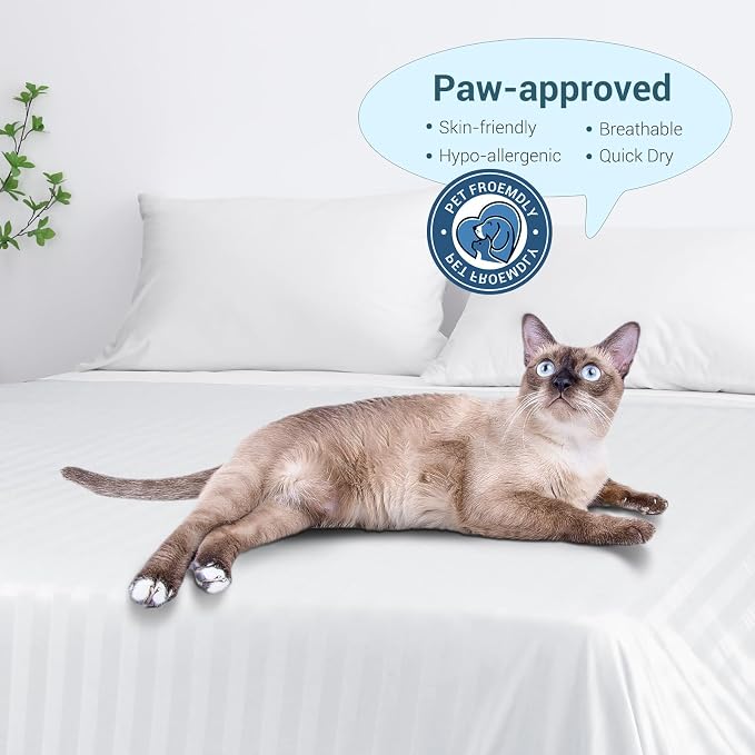 Elegear Double-Sided Arc-Chill® 3.0 Cooling Blanket for Hot Sleepers, White | Q-Max>0.5 Cooling Fabric, Absorbs Heat to Keep Body Cool, Lightweight Summer Blankets for Night Sweats & Menopause, 79"x86"
