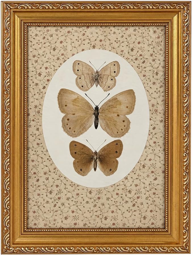 Vintage Butterfly Specimen Wall Art, Gold Framed Canvas Print | Vintage butterfly specimen wall art with gold frame, suitable for study room, office, and gallery wall decoration.