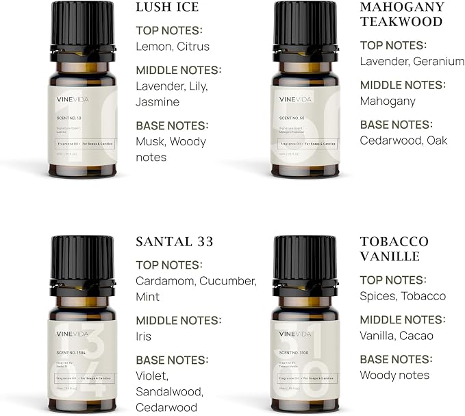 VINEVIDA Masculine Diffuser Oil Collection [Set of 8] - Scented Oil | Aromatherapy Diffuser Oils | Made in USA