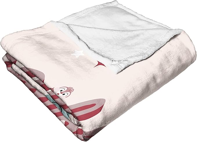 Northwest Disney 100 Silk Touch Throw Blanket, 50" x 60", Celebrate Wonder