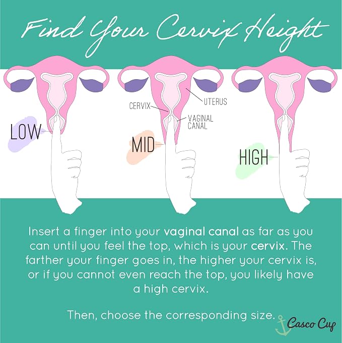 Casco Menstrual Cup & Case - Medical Grade Silicone Period Cup Made in Maine USA, Reusable Menstrual Cup (Mid1 - Mid Cervix)
