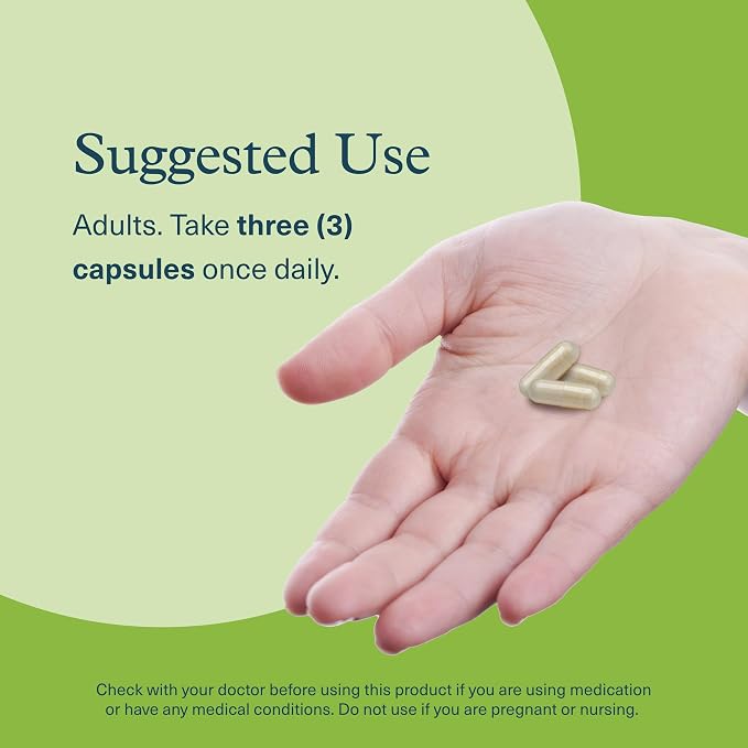 Youtheory Mushroom Stress Complex - 60 Vegetarian Capsules (20 Day Supply) - Organic Full-Spectrum Mushroom Blend with L-Theanine - Supports Immune System & Gut Health*- Supports Mental Calmness*