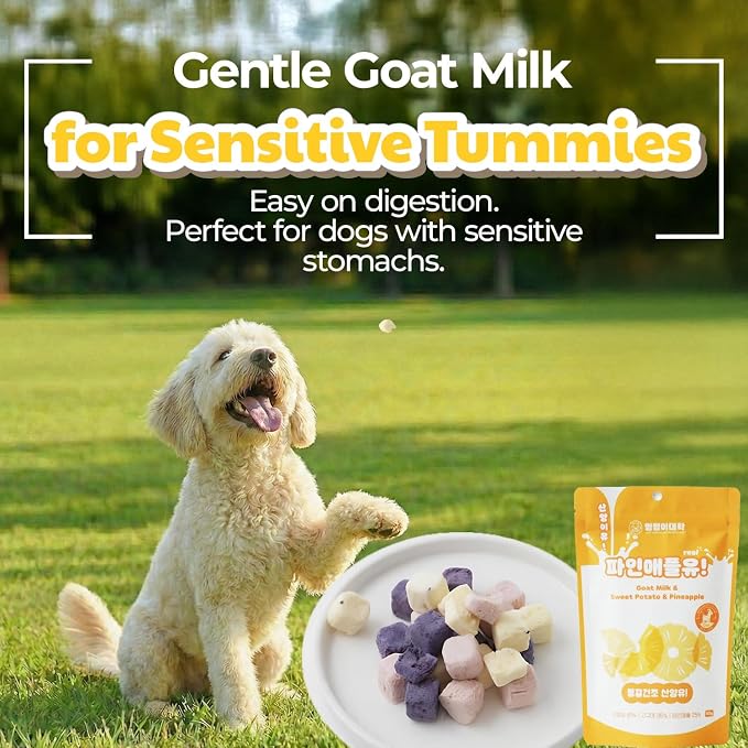 Freeze-Dried Goat Milk Dog Treats, Pineapple, 1.76 oz