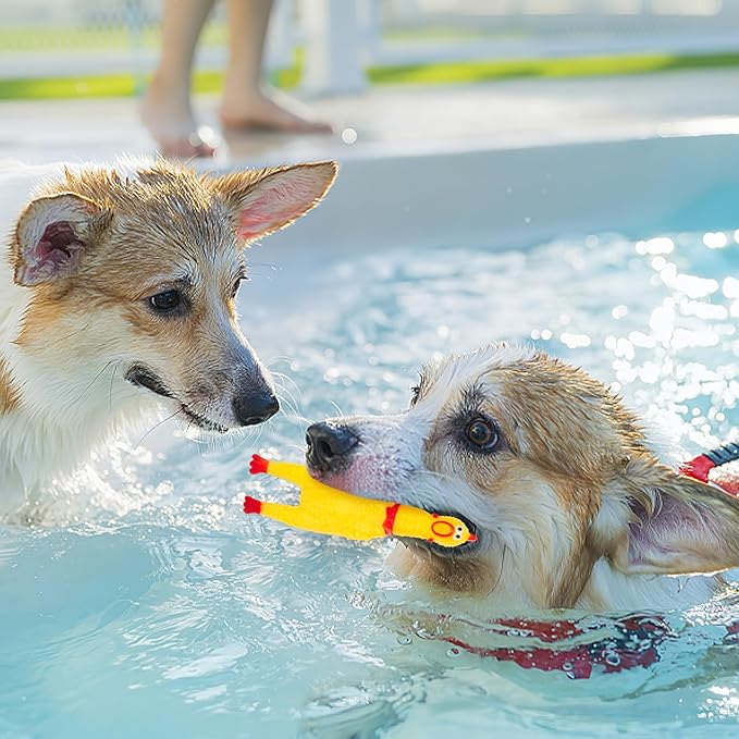 POPLAY 20PCS Squeaky Rubber Chickens, Screaming Chickens Bulk Prank Novelty Toys Pet Toys for Party Favors Family Game Dog Toys Noise Maker