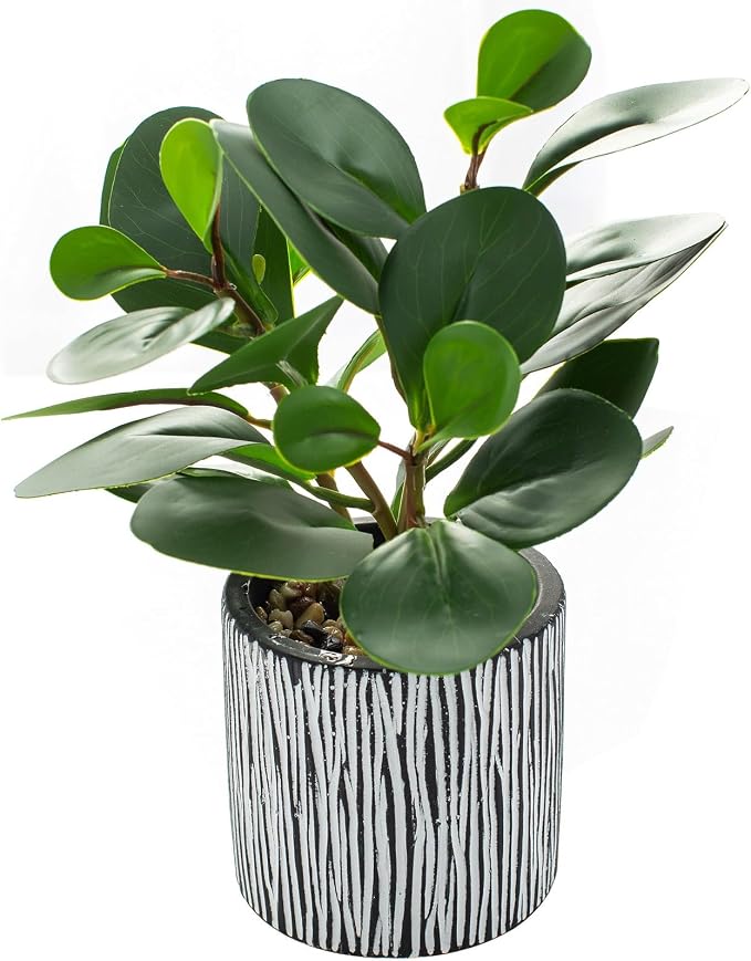 AlphaAcc Fake Plant 8" Black Clay Planter Farmhouse Bath Kitchen Decor | Rreal looking 8in succulent greenery clay planter ideal bedroom office table farmhouse decor