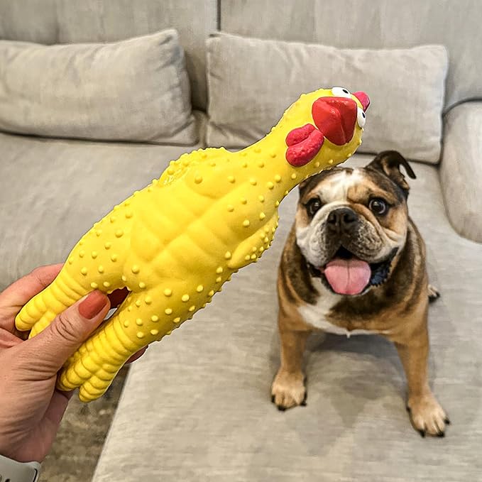 100% Natural Latex Squeaky Dog | Durable Rubber Chicken Chew Toy for Small & Large Dogs | Funny Screaming Chicken | Safe & Interactive Toy for Play, Teething and Boredom | Tough Design