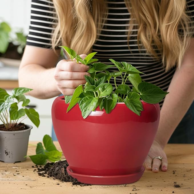 Ceramicfor Ceramic Planter for Indoor Plants 8 Inch - Ceramic Plant Pot with Drainage Hole and Saucer, Glaze Round Decorative Modern Flower Pot, Housewarming Gift, Home Room Office Decor, Red