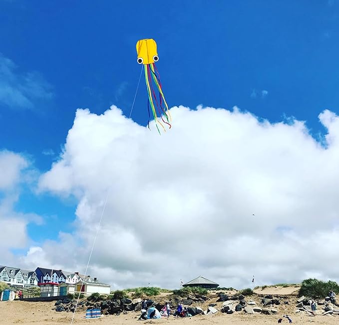 Large Octopus Kites for Kids and Adults - Easy to Fly, 28X158 3D Software Colorful Kite with Long Tails. Perfect for Beach and Outdoor Activities