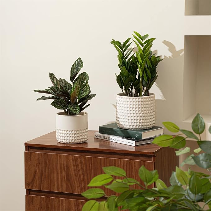 La Jolie Muse Ceramic Planter Flower Plant Pots- 6.7+5.5 Inch Concave Dot Patterned Cylinder Flower Pot W/ Drain Hole for Indoor, Set of 2, Ivory | 6.7+5.5 Inch, Ivory Dot Pattern Ceramic Planter with Drainage Hole, Decorative Planter Pots for Indoor P...