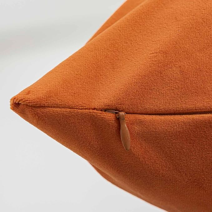 16x24 Velvet Throw Pillow Covers Set of 2 for Couch Bed Sofa,Burnt Orange | Decorative Soft Pillow Covers with Invisible Zipper for Couch Sofa Bed Living Room Bedroom Home Decor Halloween