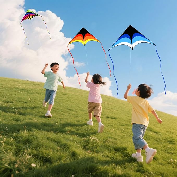 Kites for Kids and Adults, Easy to Fly for Beach, Single Line Kite Set for Beginners
