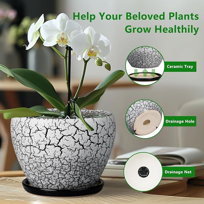 Ceramicfor Ceramic Plant Pot 8 Inch - Ceramic Planter for Indoor Plants, Round Flower Pot with Drainage Hole and Saucer, Glaze White and Black