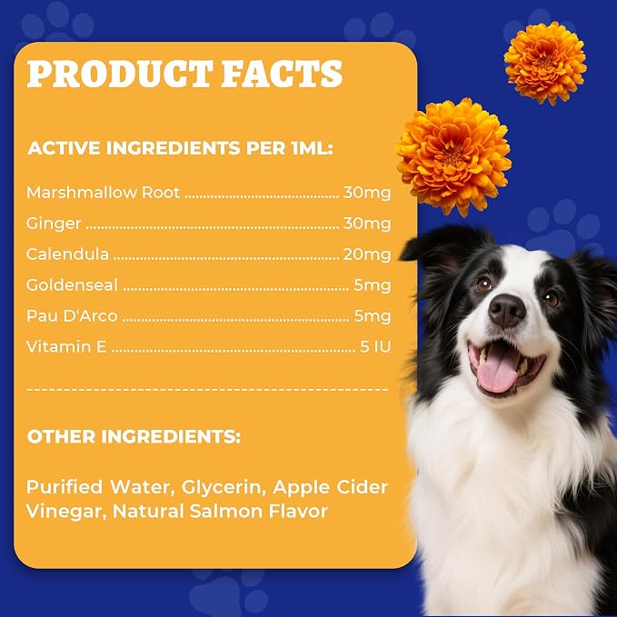 Wellix 120ml Yeast Infection Treatment for Dogs & Cats - Supports Itch,Allergy,Inflammation Relief & Immune Health - Natural Dog Ear Yeast Infection Treatment - Salmon Flavor
