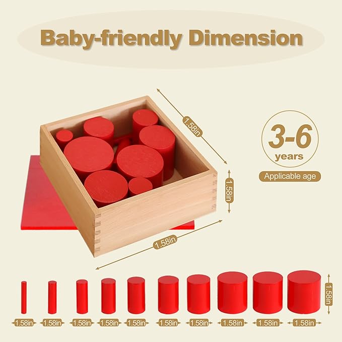 MONTESSORI OUTLET Knobless Cylinders (Set of 4) for 3-6 Years Montessori Education at School and Home