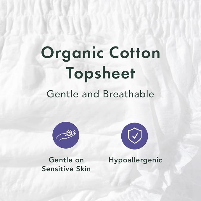 Rael Disposable Underwear for Women, Organic Cotton Cover - Incontinence Pads, Postpartum Essentials, Disposable Underwear, Unscented, Maximum Coverage (Size S-M, 12 Count)