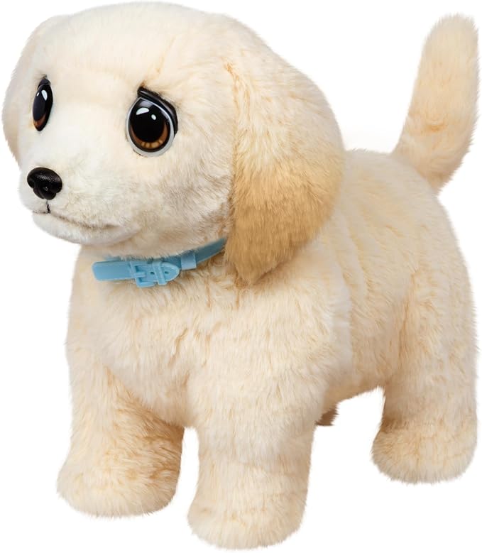 Little Live Pets Ouchies Cooper The Retriever Puppy, 50+ Sounds, Limping to Walking Puppy Toy with Vet Carrier, Interactive Toy Dog for Kids Ages 5+