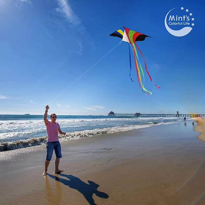 Mint's Colorful Life Delta Kite for Kids & Adults, Extremely Easy to Fly Kite for Beach Trip, Best Kites for Beginners, 300ft String Handle Included