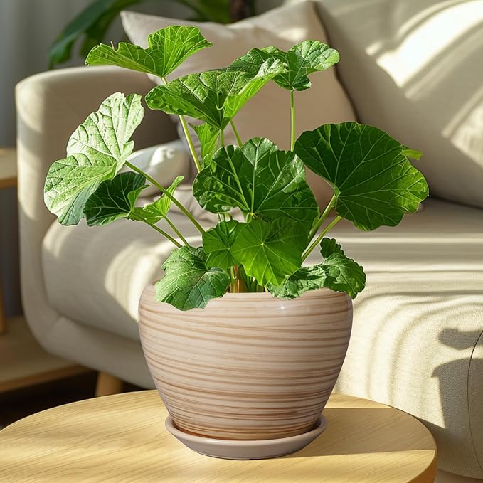 Ceramicfor Planter 8 Inch - Indoor/Outdoor Ceramic Plant Pot With Drainage Hole and Saucer, Round Modern Flower Planter for Succulents, House, Patio - Yellow