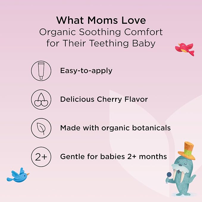 Hyland's Baby Daytime Oral Soothing Gel - .53 oz, Organic Cherry Flavor - Daytime Baby Gel for Oral Discomfort and Teething Support with Chamomile, Calendula & Fennel
