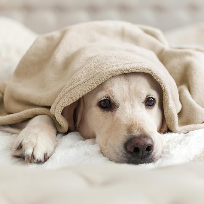 Hansleep King Taupe Fleece Blanket, Soft Flannel Bed Blanket | Fuzzy Cozy Blanket 90x108 Inches, Multi-use for Bed, Sofa, Couch, Travel, Camping, All Season Warm Lightweight Cover