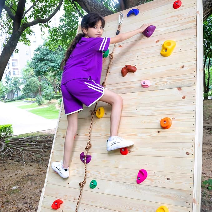 25 Rock Climbing Holds with 6.56Ft Knotted Climbing Rope, Kids Climbing Holds for Indoor Outdoor Play Set with Mounting Hardware (25 Single Hole Climbing Holds with Knotted Rope)
