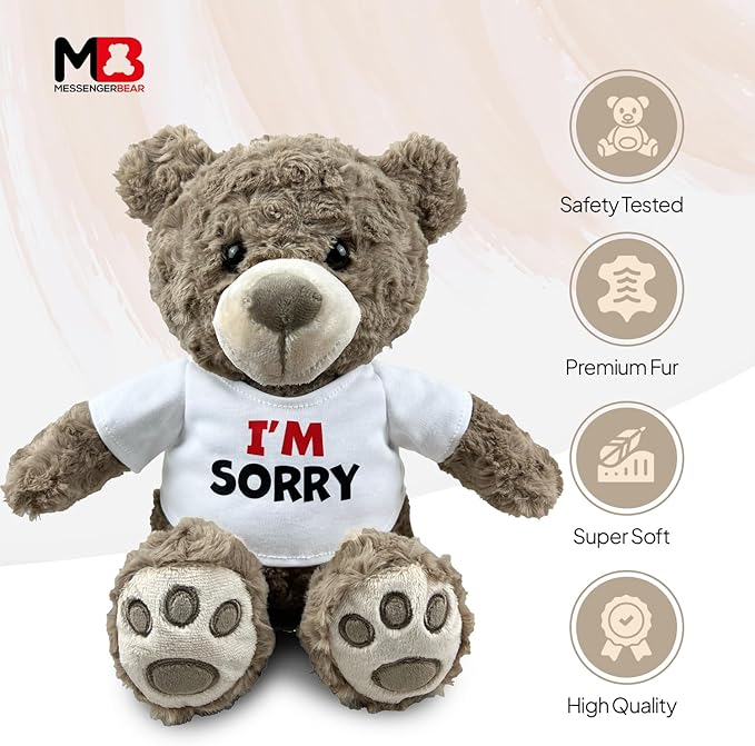 I’m Sorry Teddy Bear 10” Sitting | I Love You Im Sorry Plushie | Im Sorry Gifts for Her Stuffed Animal