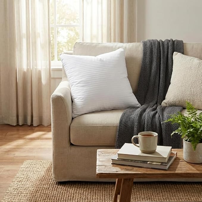 EvZ Premium 20x20 Pillow Insert (Single Pack) - Decorative Square Throw Pillow Form - Soft Polyester Stuffer with Elegant White Striped Shell - Ideal for 20x20 Covers