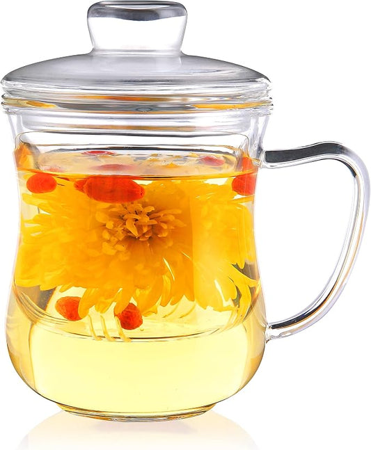CNGLASS Glass Tea Cup with Removable Infuser and Lid,10oz Thickened Glass Infuser Mug,Borosilicate Glass Mug for Loose Leaf Tea,Teabags
