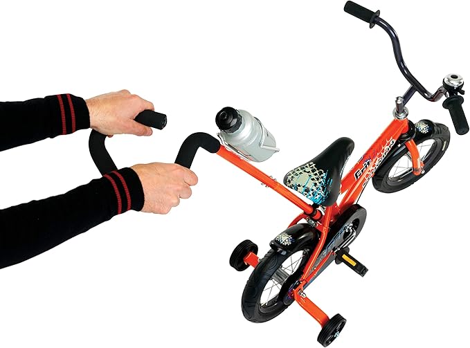 Schwinn Petunia and Grit Bike, 12 Inch Bike for Kids Ages 2-4, Orange, Teal, Pink or Blue, Steerable Beginner Bicycle with Training Wheels, Parent Push Handle, Rear Coaster Brake, Adjustable Seat