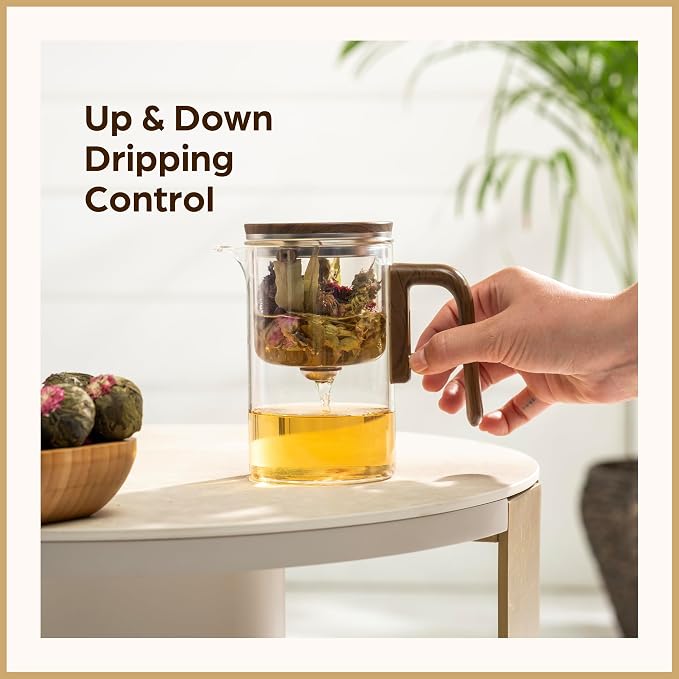 Enchanti Glass Teapot with Infuser - Magic Tea Pot for Loose Leaf Tea - Borosilicate Glass Tea Maker with Heat-Resistant Handle - Gift Box & Writable Card - 800ML (27oz)