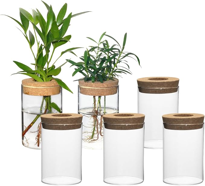 Separated Desktop Glass Flower Vases - Ideal Plants Propagation Stations for Living Room, Bedroom Decoration,Home Decor (6)