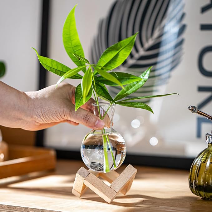 Propagation Stations, Propagation vases with Wooden Stand, Small Tabletop Glass Bulb Vases for Hydroponics Plant Propagation Station Home Office Decoration, Gift for Women Plant Lovers (4)