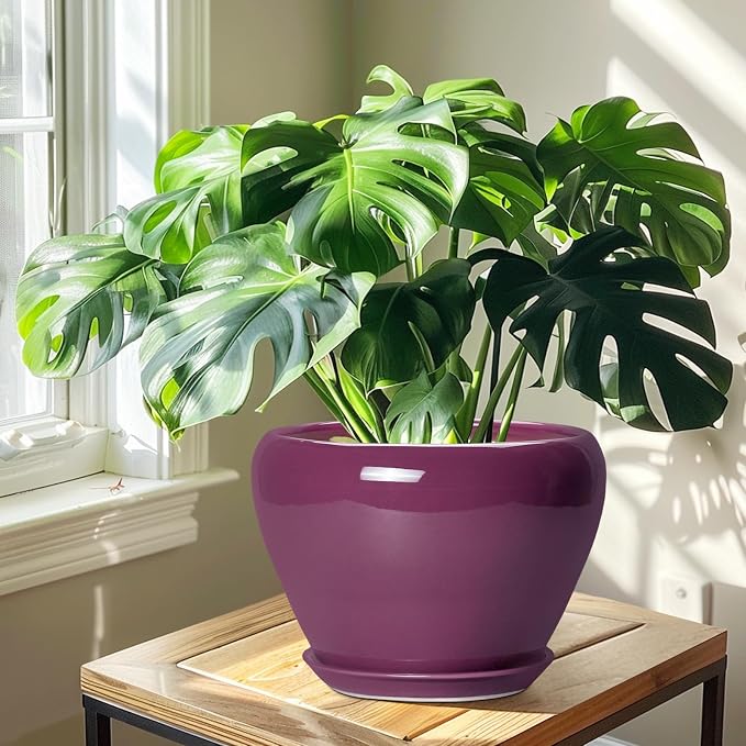 Ceramicfor 10 Inch Plant Pot - Ceramic Planter with Drainage Hole and Saucer, Round Modern Flower Pot for Indoor Outdoor Plants, Housewarming Gift, Home Garden Decor, Purple