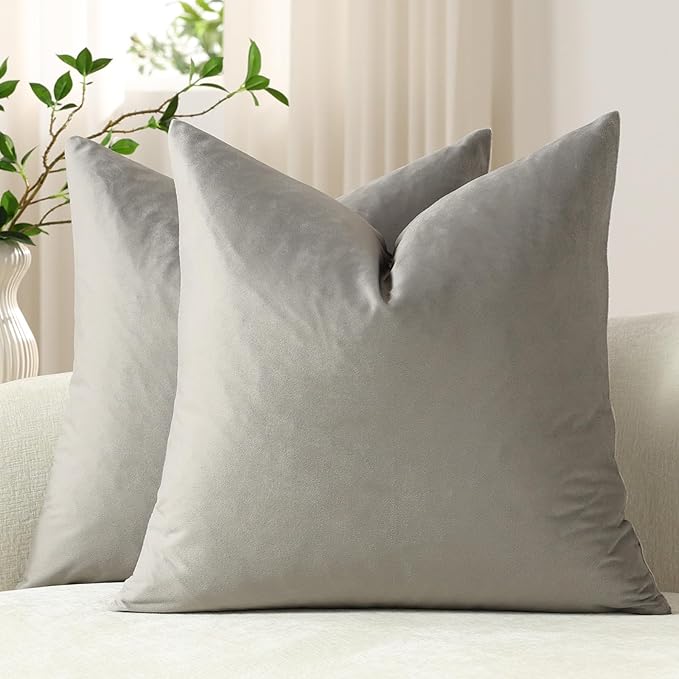 Throw Pillow Covers 16x16 Light-Grey: Pack of 2 Cozy Soft Velvet Square Modern Luxury Decorative Throw Pillow Cases for Sofa Couch Living Room Bed Home Decor