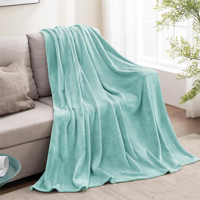 BEDELITE Fleece Blanket Soft Plush Twin Size Blanket Haze Blue 60"x80" | Ultra Soft Fleece, Plush Microfiber, Lightweight Warmth, All Season Comfort, Fade Resistant, Machine Washable, Couch Sofa Bed