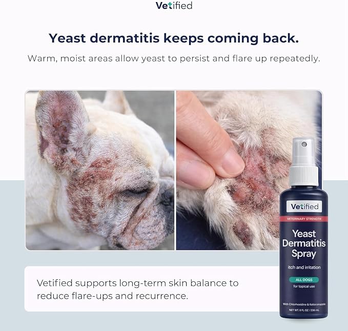 Yeast Dermatitis Spray for Dogs | Veterinary Strength Yeast Infection Treatment for Dogs, Paws and Ears | Topical Anti Yeast Care (+ 30 Day Vet Access) | 8 fl oz | NDC 86247-001-08