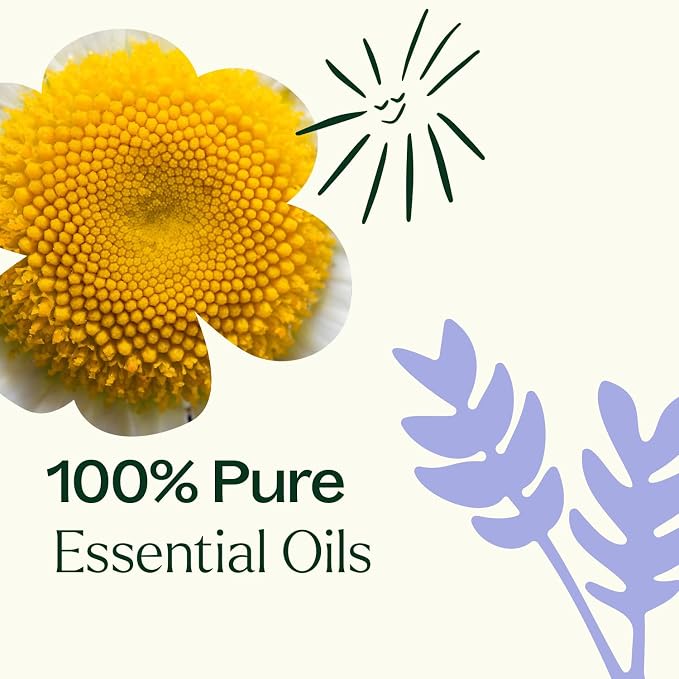 Plant Therapy KidSafe Organic Essential Oil Blends Set 10 mL (1/3 oz) 100% Pure, Undiluted, Aromatherapy, Sleep Support, Mood Booster, Attention and Focus