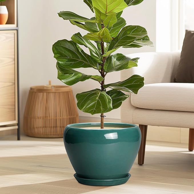Ceramicfor Ceramic Planter for Indoor Plants 10 Inch - Ceramic Plant Pot with Drainage Hole and Saucer, Glaze Round Modern Decorative Planter, Plant Lover Gifts, Home Room Office Decor, Green