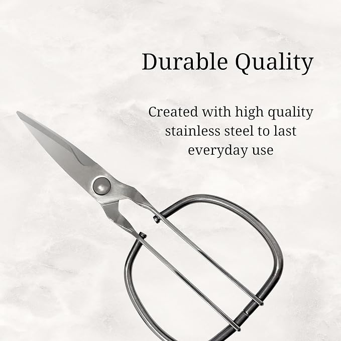 Heavy Duty Stainless Steel Detachable Scissors, Metal Scissors for Food, Professional Chef Shears Bone Cutting Meat Pizza Scissors Kitchen Utensils Come Apart, 9 Inch, Silver