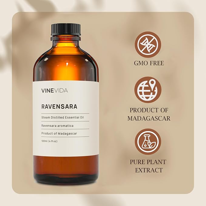 VINEVIDA Ravensara Essential Oil 4 oz - Undiluted, Pure, Vegan, and Sustainable