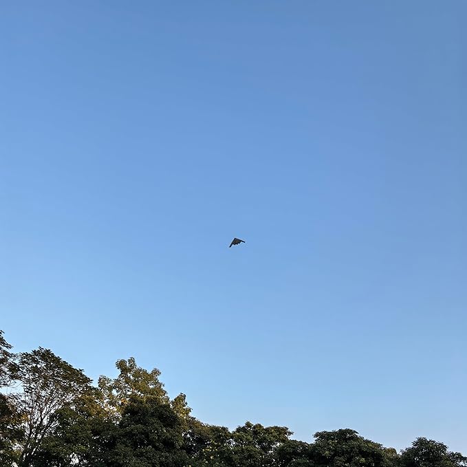 Big Kite, B2 Bomber Model Kites,1:26Perfect Remake, A Kite of Choice for Adults and Military hobbyists、Equipped with 300 metres /984 Foot String Plate and a Pair of Cut-Resistant Gloves