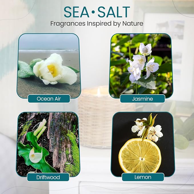 Sea Salt Scented Candle – Luxury 12oz Soy Wax, 2-Wick Handwoven Glass Jar, Blend of California Lemon, Water Lily, White Jasmine, Driftwood & Rosewater -75+ Hour Clean Burn, USA Made