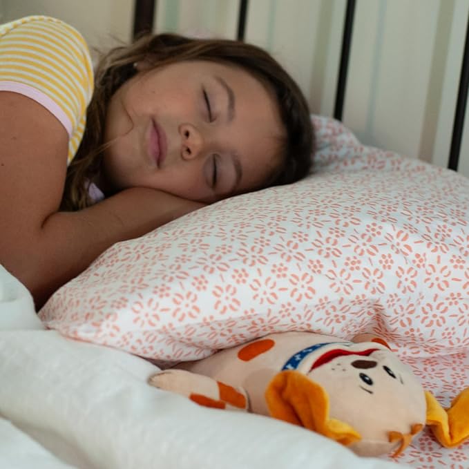 The Tooth Brigade Tooth Fairy Pillow | Stuffed Plush with Large Pocket Mouth for Lost Teeth, Treasures, Prizes - Fun and Interactive Plush, Perfect Kids, Boys, & Girls Gift (OBI Dog)