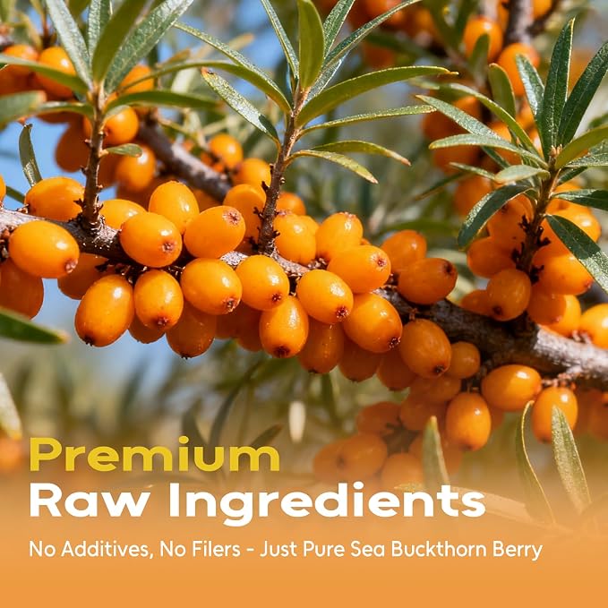 FullChea - Sea Buckthorn Berry, 8oz/227g – Whole Dried Sea Buckthorn Tea, Superfood Berries – High in Vitamin C & Antioxidants for Immune and Skin & Heart Health Support