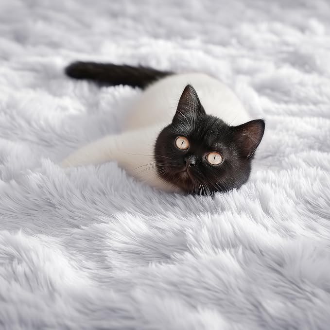 PAGISOFE Fluffy Shaggy Area Rug 5x8, Plush Rugs for Living Room, Fuzzy Rug for Nursery, Furry Rugs for Girls Boys Bedroom, Shag Carpet for Dorm Room, Soft Rug for Kids Playroom Decor,Office White